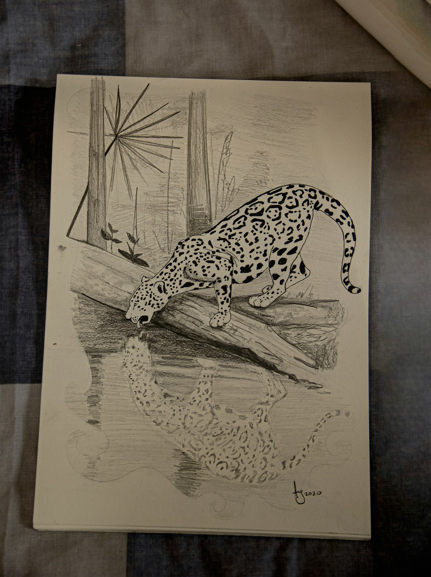 10 Must-Have Gear Items for Your Pets